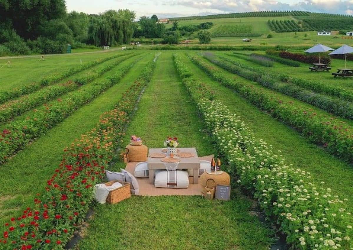 Sonbaharın En Yeni Wellness Otelleri Sonbaharın En Yeni Wellness Otelleri