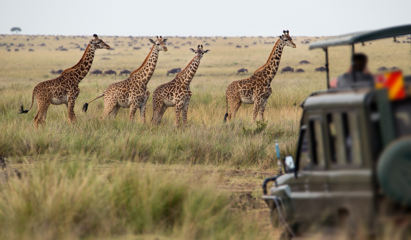 Ecotourism Travel Routes Around World Ecotourism Travel Routes Around World