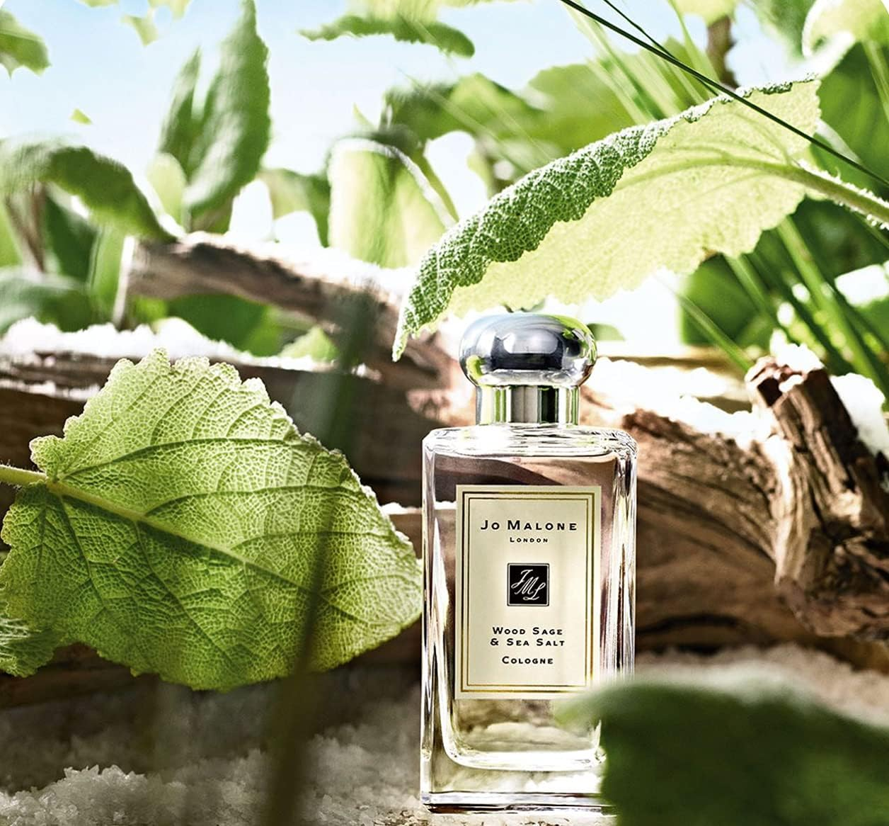 5 Perfumes for Summer 5 Perfumes For Summer