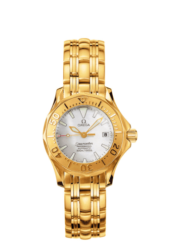 Omega Seamaster Diver 300M 2172.70.00