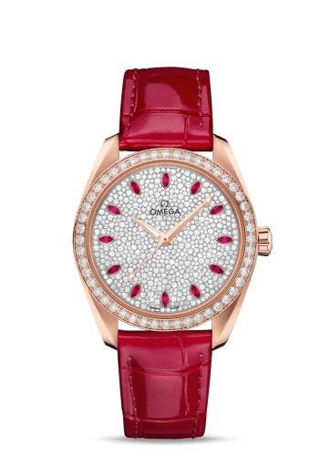 Omega Aqua Terra 220.58.38.20.99.001