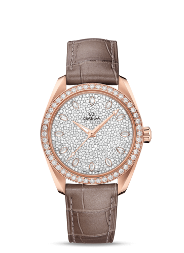 Omega Aqua Terra 220.58.38.20.99.003