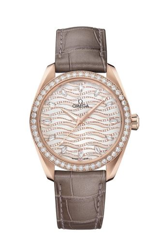 Omega Aqua Terra 220.58.38.20.99.006