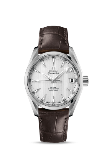 Omega Aqua Terra 231.13.39.21.02.001