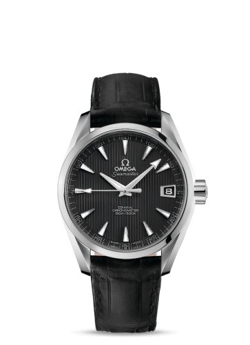 Omega Aqua Terra 231.13.39.21.06.001