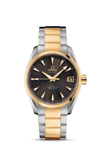 Omega Aqua Terra 231.20.39.21.06.002