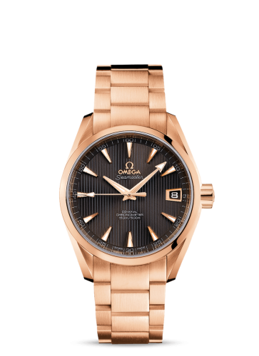 Omega Aqua Terra 231.50.39.21.06.001