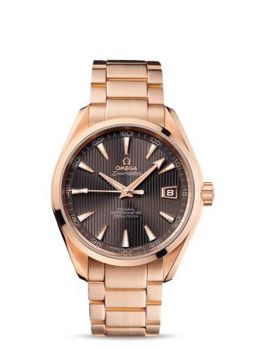 Omega Aqua Terra 231.50.42.21.06.001