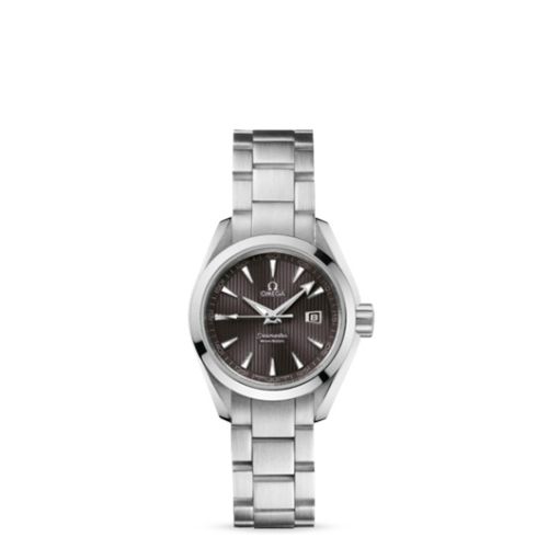 Omega Aqua Terra 231.10.30.61.06.001
