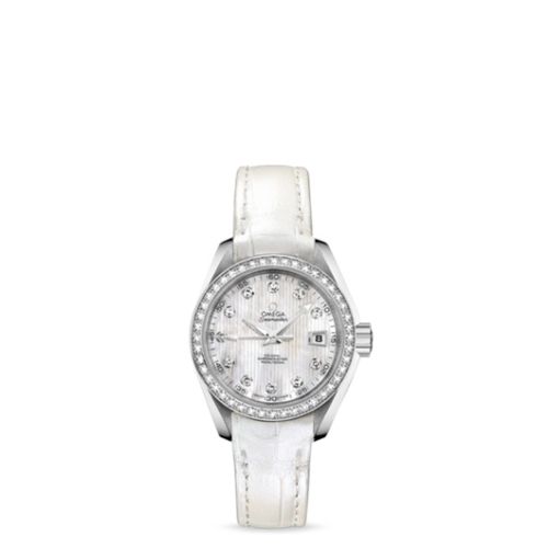 Omega Aqua Terra 231.18.30.20.55.001