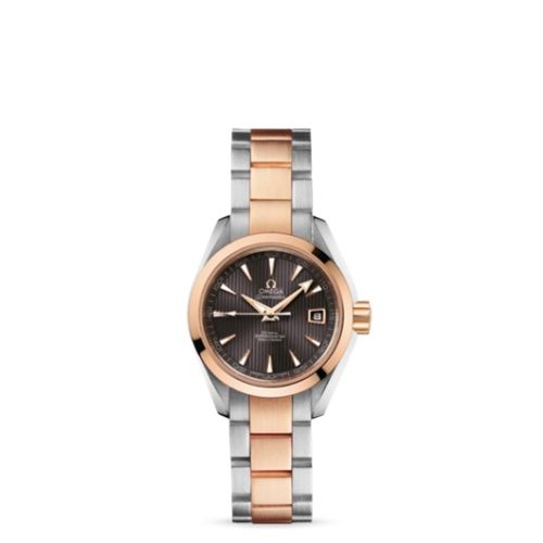 Omega Aqua Terra 231.20.30.20.06.001