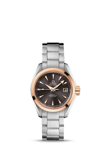 Omega Aqua Terra 231.20.30.20.06.003