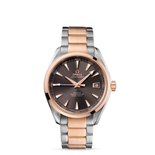 Omega Aqua Terra 231.20.42.21.06.001