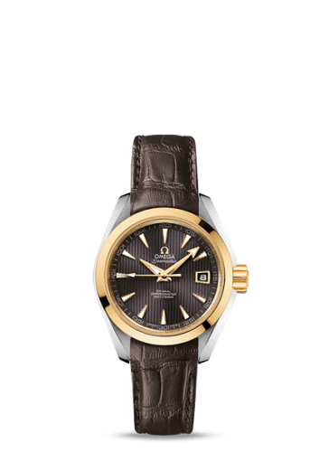 Omega Aqua Terra 231.23.30.20.06.002