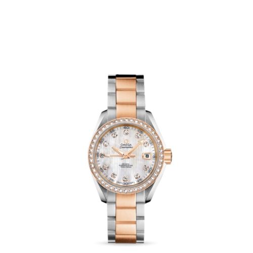 Omega Aqua Terra 231.25.30.20.55.001