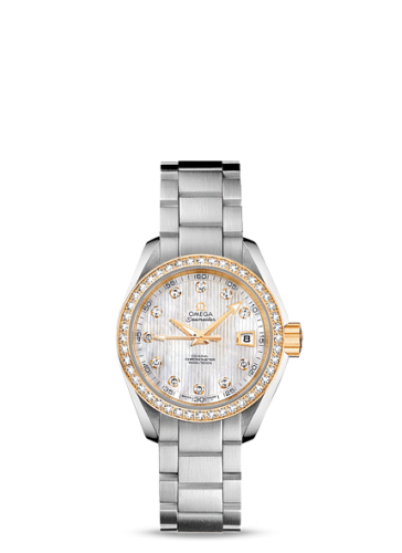 Omega Aqua Terra 231.25.30.20.55.004