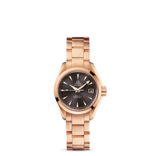 Omega Aqua Terra 231.50.30.20.06.001