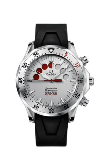 Omega Seamaster Diver 300M 2895.30.91