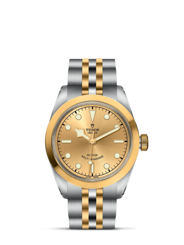 Tudor Black Bay 31-32-36-39-41 79583-0002