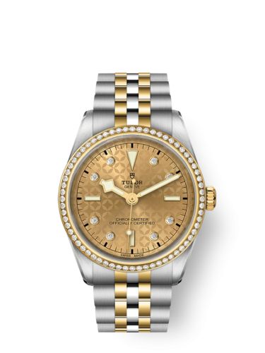 Tudor Black Bay 31-32-36-39-41 79653-0004