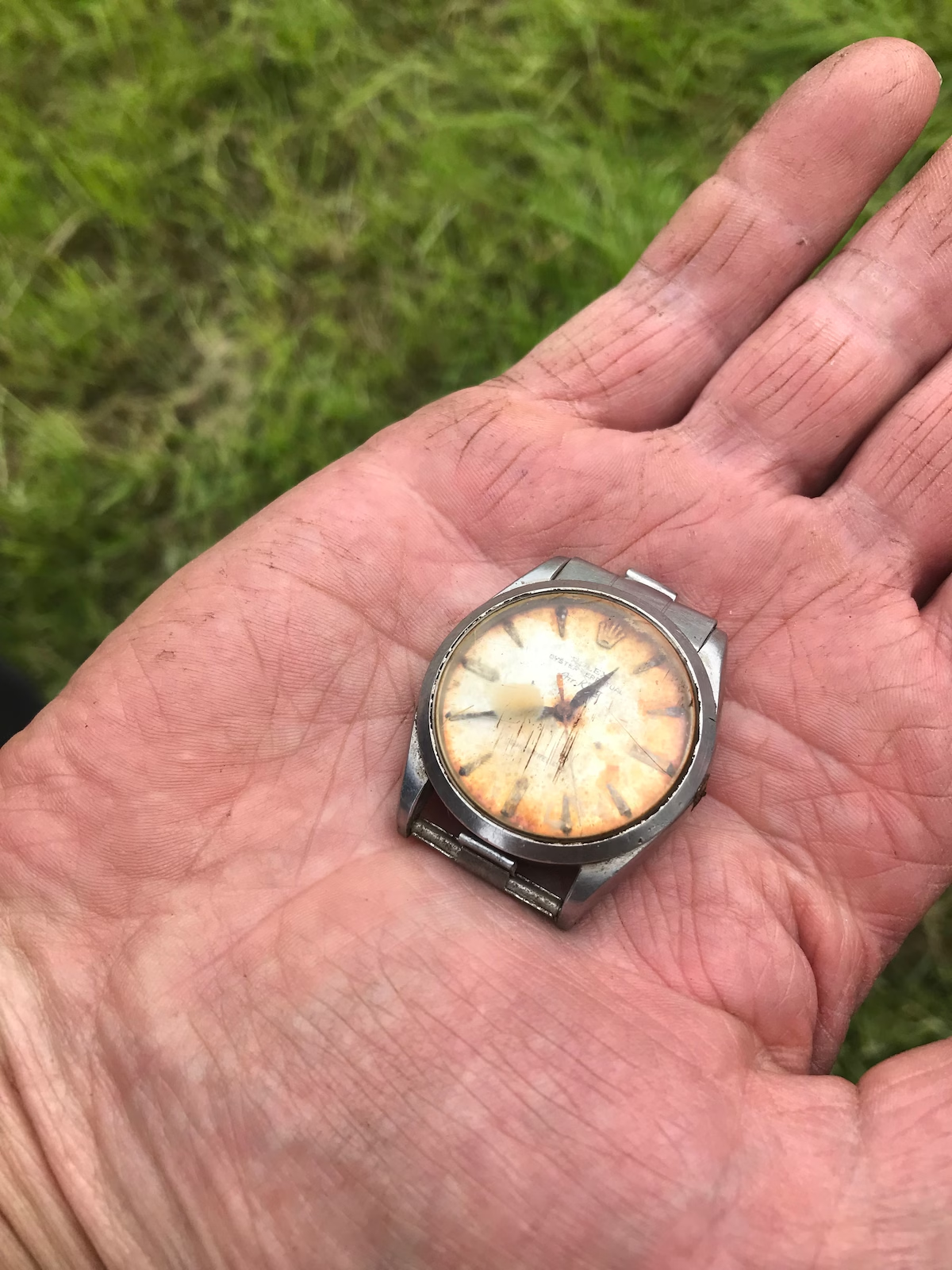 Bir Çiftlikte Kaybolan Rolex’in Hikayesi Bir Çiftlikte Kaybolan Rolex’in Hikayesi
