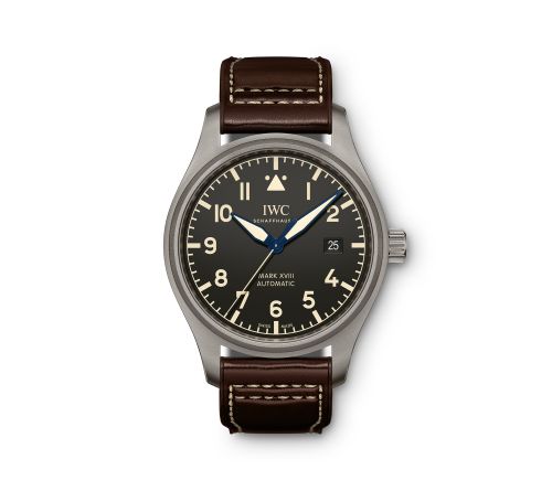 IWC Pilot IW3270-06