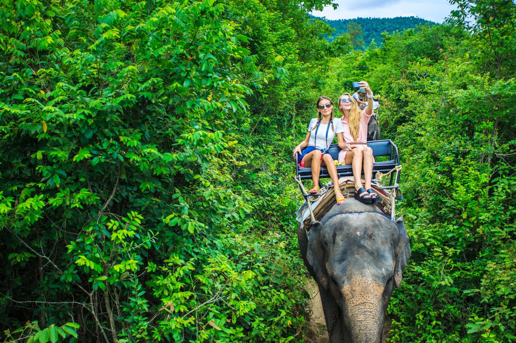 The Conscious Tourist: Leading the Way in Sustainable Travel The Conscious Tourist: Leading The Way In Sustainable Travel