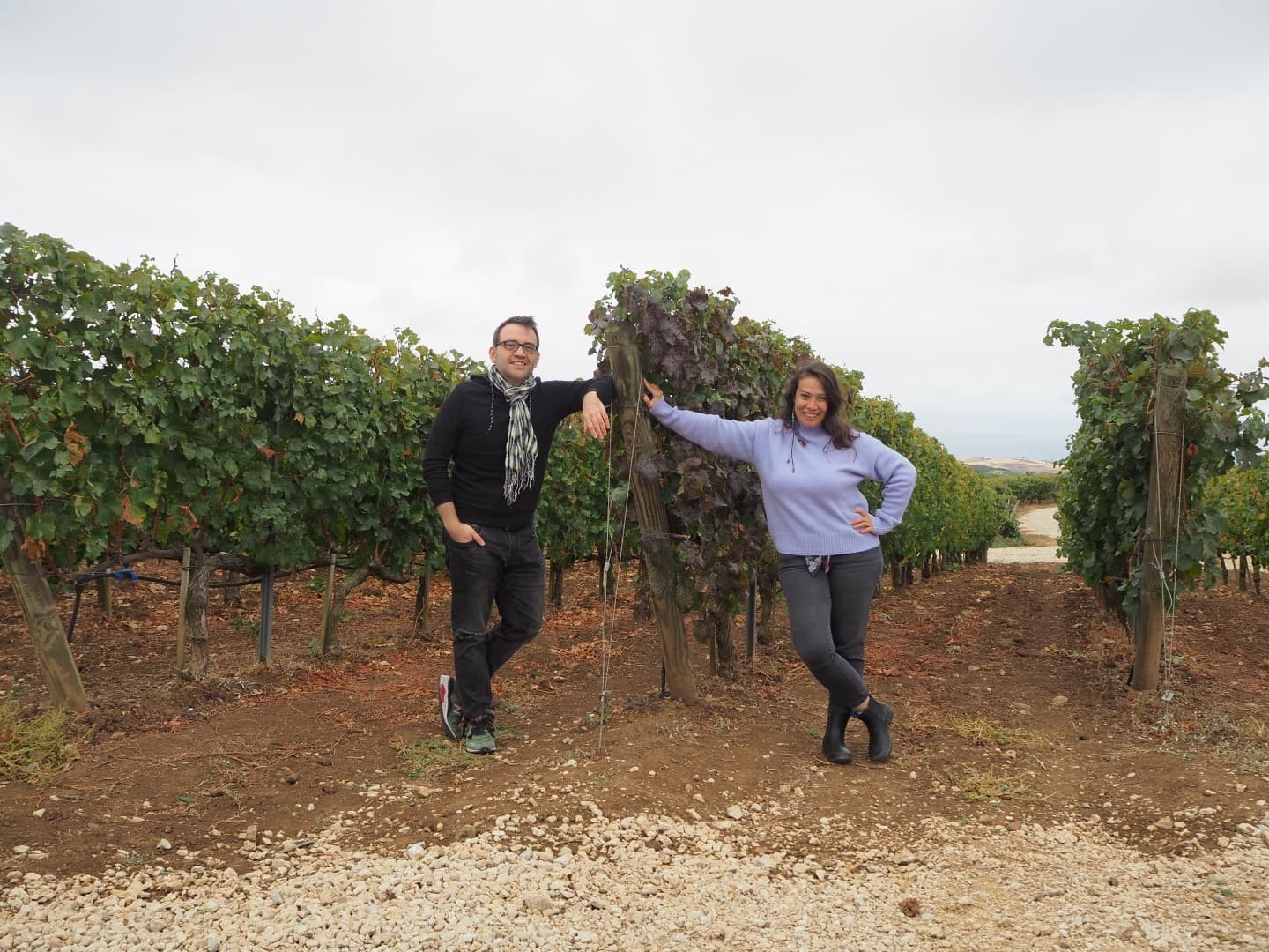 Vintage 2024: A Hot, Dry, and Early Harvest Vintage 2024: A Hot, Dry, And Early Harvest