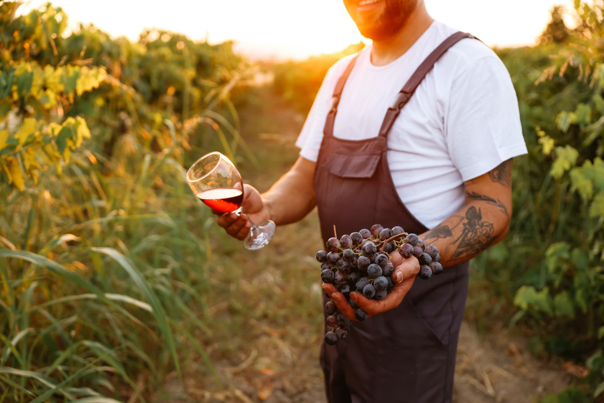 Glossary of Wine Terminology Glossary Of Wine Terminology