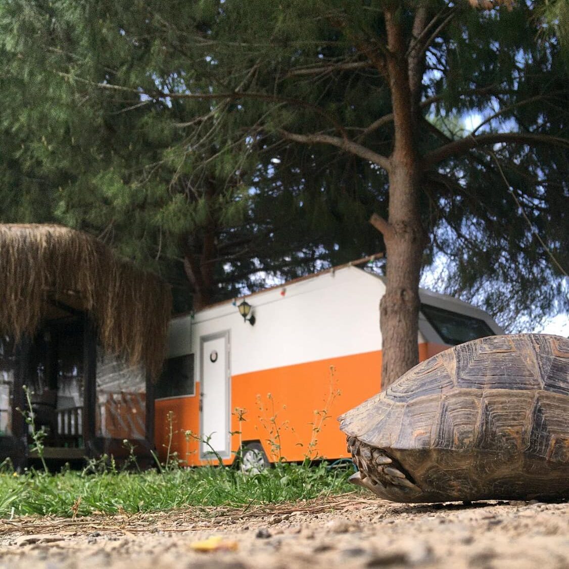 9 Popular Glamping Destinations In Turkey