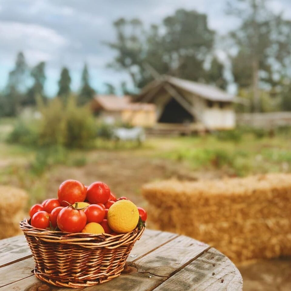 9 Popular Glamping Destinations In Turkey