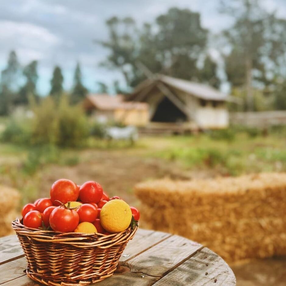 Türkiye'nin 9 Popüler Glamping Adresi Türkiye'Nin 9 Popüler Glamping Adresi