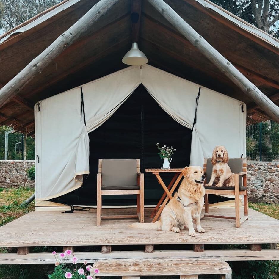 9 Popular Glamping Destinations In Turkey