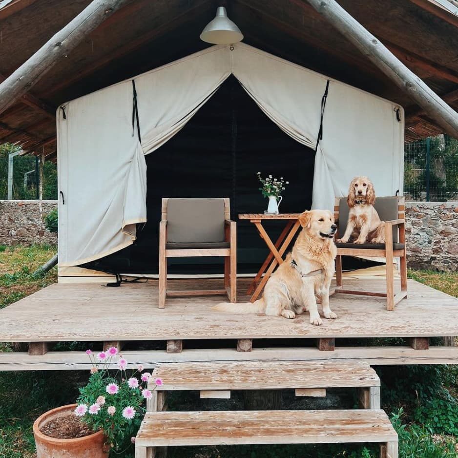 Türkiye'nin 9 Popüler Glamping Adresi Türkiye'Nin 9 Popüler Glamping Adresi
