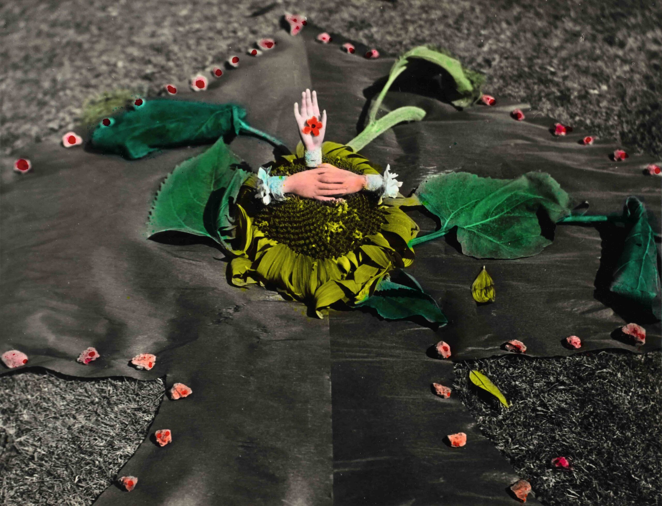 Celebrating the 100th Anniversary of Surrealism Celebrating The 100Th Anniversary Of Surrealism
