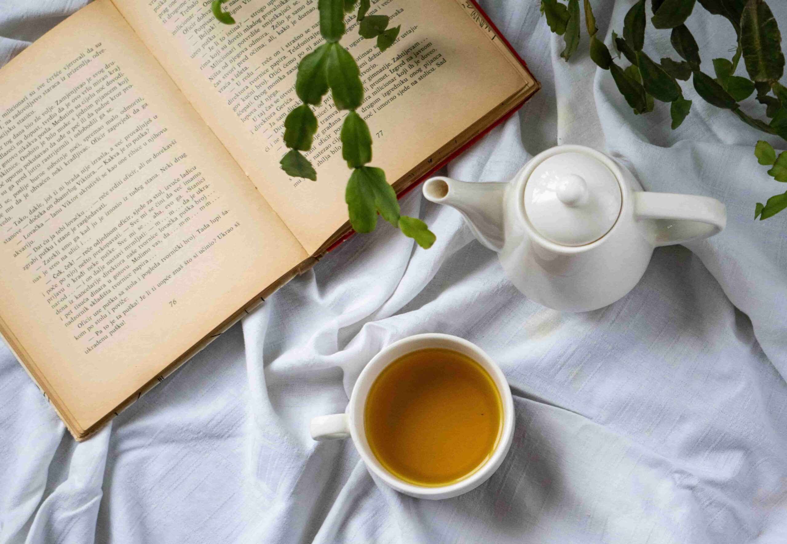 Artizan Çaylar: Çay Sanatı Yeniden Yorumlanıyor Artizan Çaylar: Çay Sanatı Yeniden Yorumlanıyor