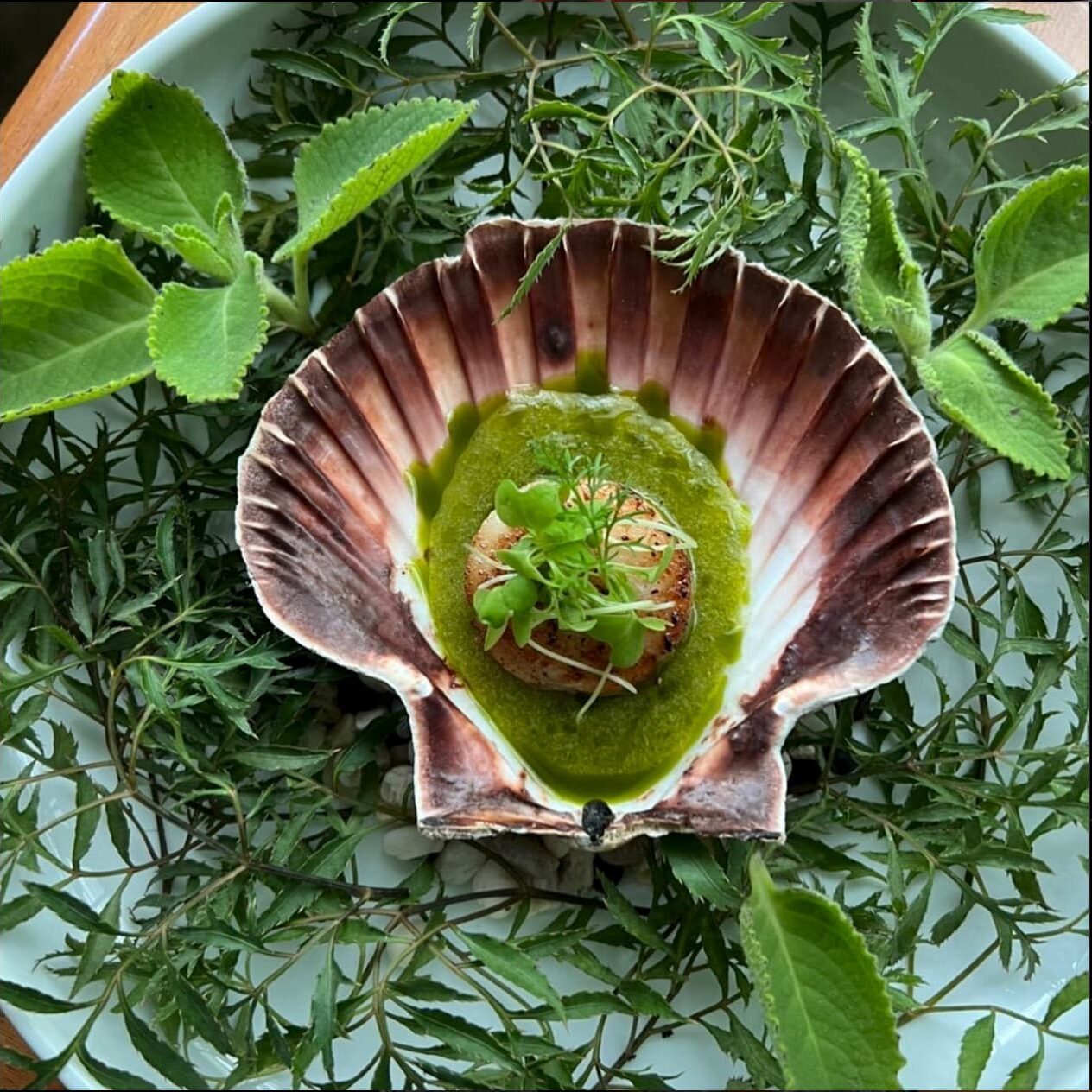 Most Acclaimed Restaurants of 2024 Most Acclaimed Restaurants Of 2024