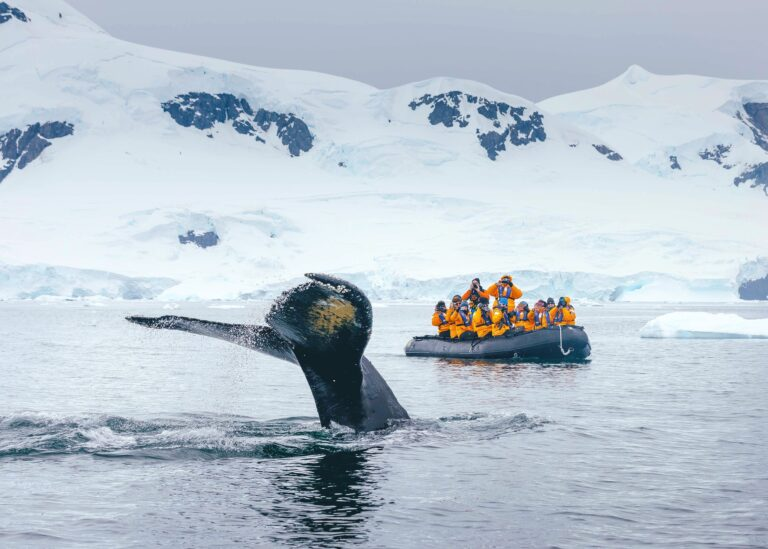 10 Extraordinary Cruise Itineraries for 2025 10 Extraordinary Cruise Itineraries