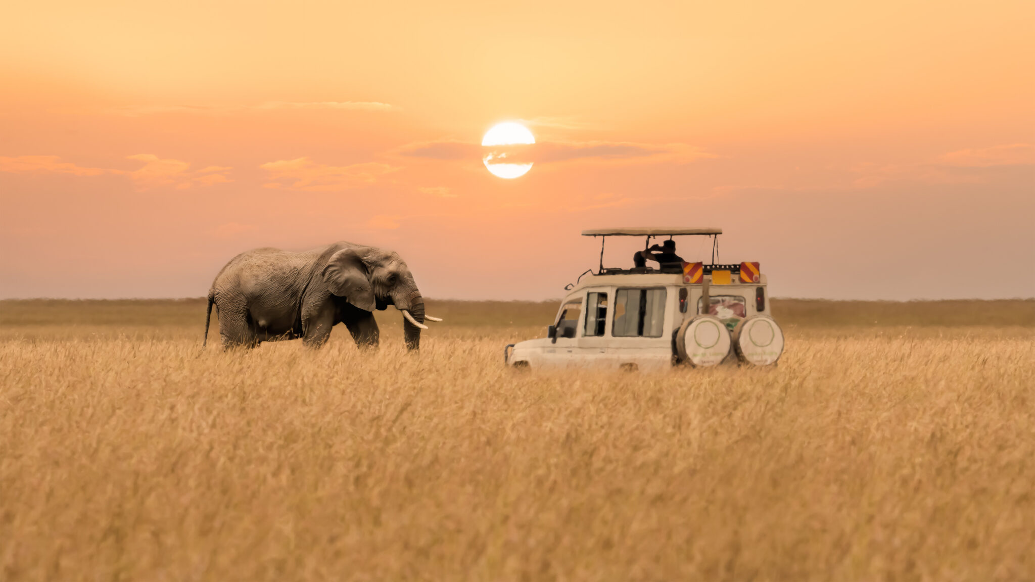 2025 Travel Trends