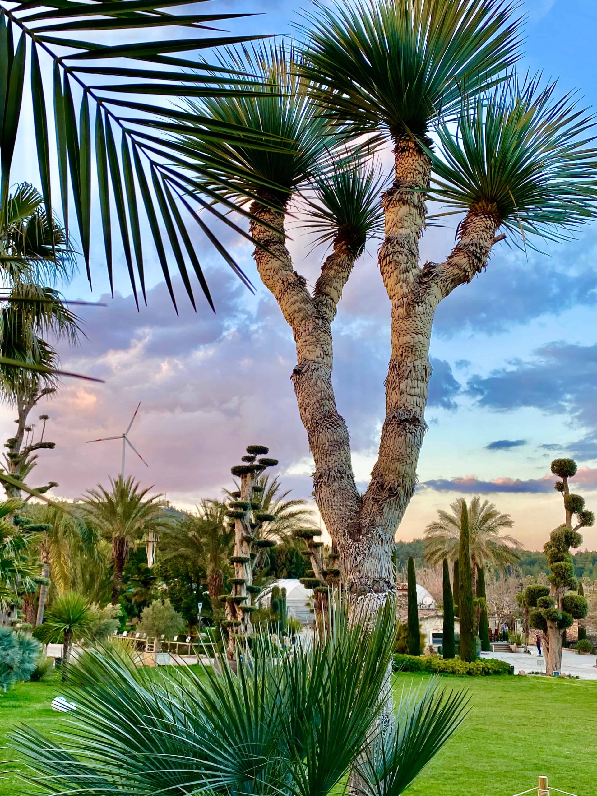 Journey Of Wine And Nature In Urla With Can Ortabaş
