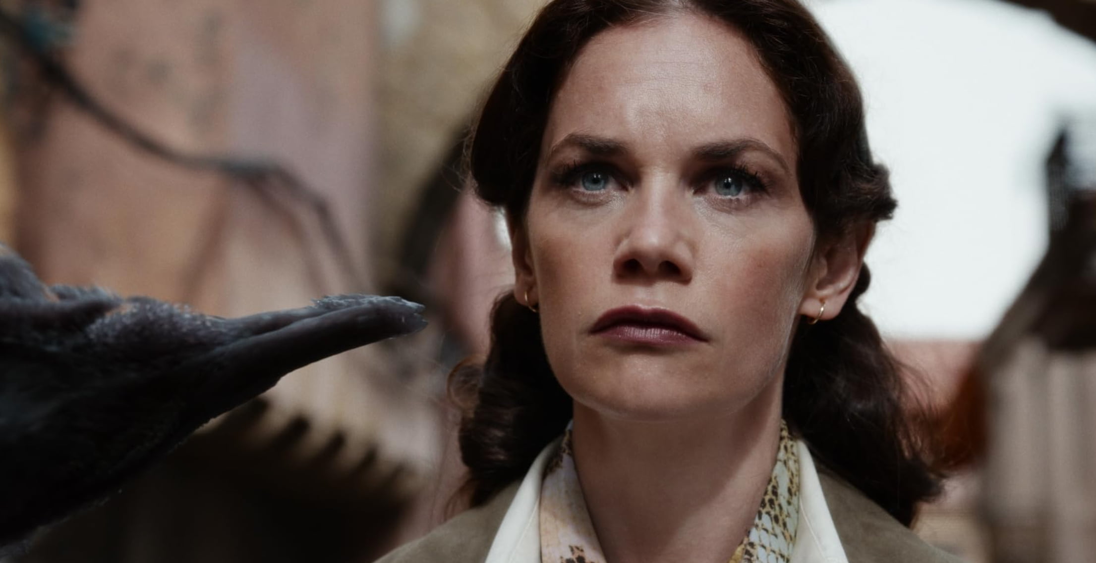 HBO Max’te İzlemeniz Gereken Diziler Hbo Max’te İzlemeniz Gereken Diziler