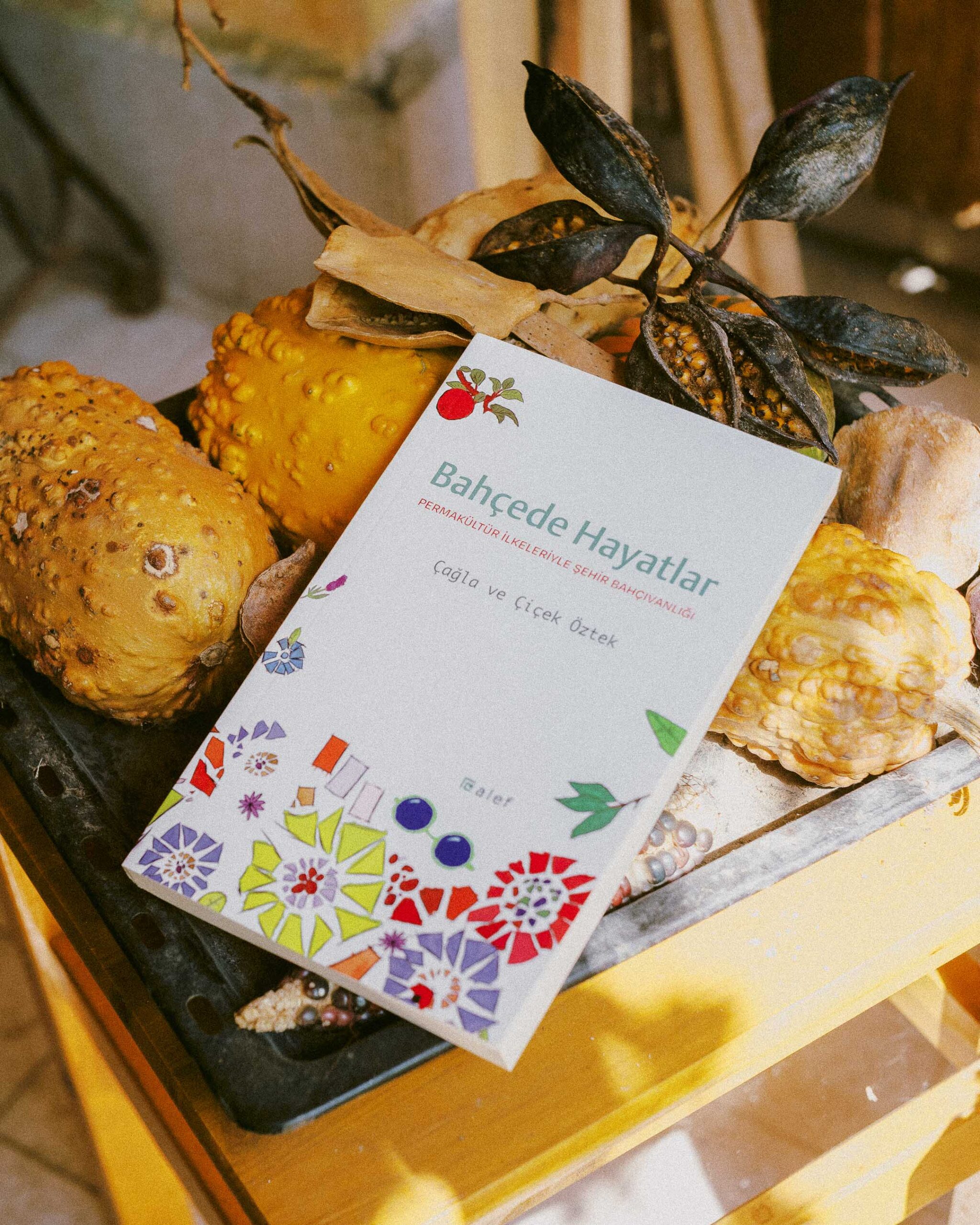 Bahçede Hayatlar: The Journey of Real Food from Seed to Table Bahçede Hayatlar: The Journey Of Real Food From Seed To Table