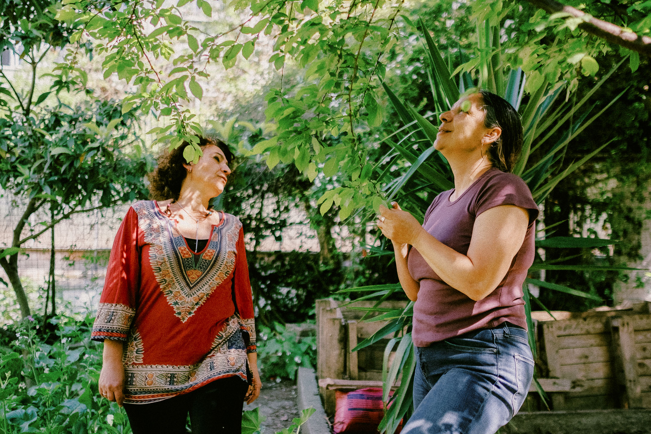 Bahçede Hayatlar: The Journey of Real Food from Seed to Table Bahçede Hayatlar: The Journey Of Real Food From Seed To Table