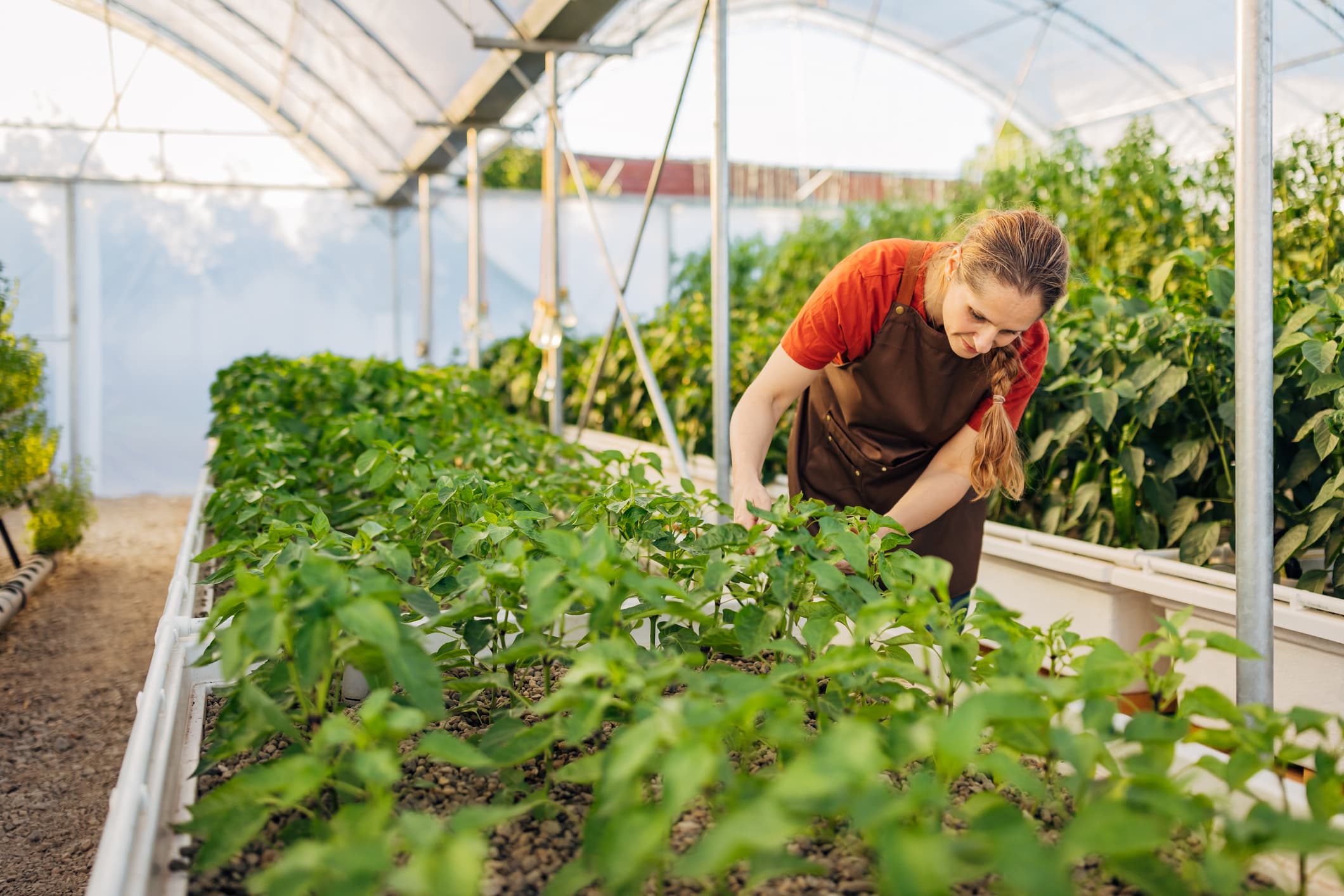 Local and New: Grüngard Smart Irrigation Systems Local And New: Grüngard Smart Irrigation Systems