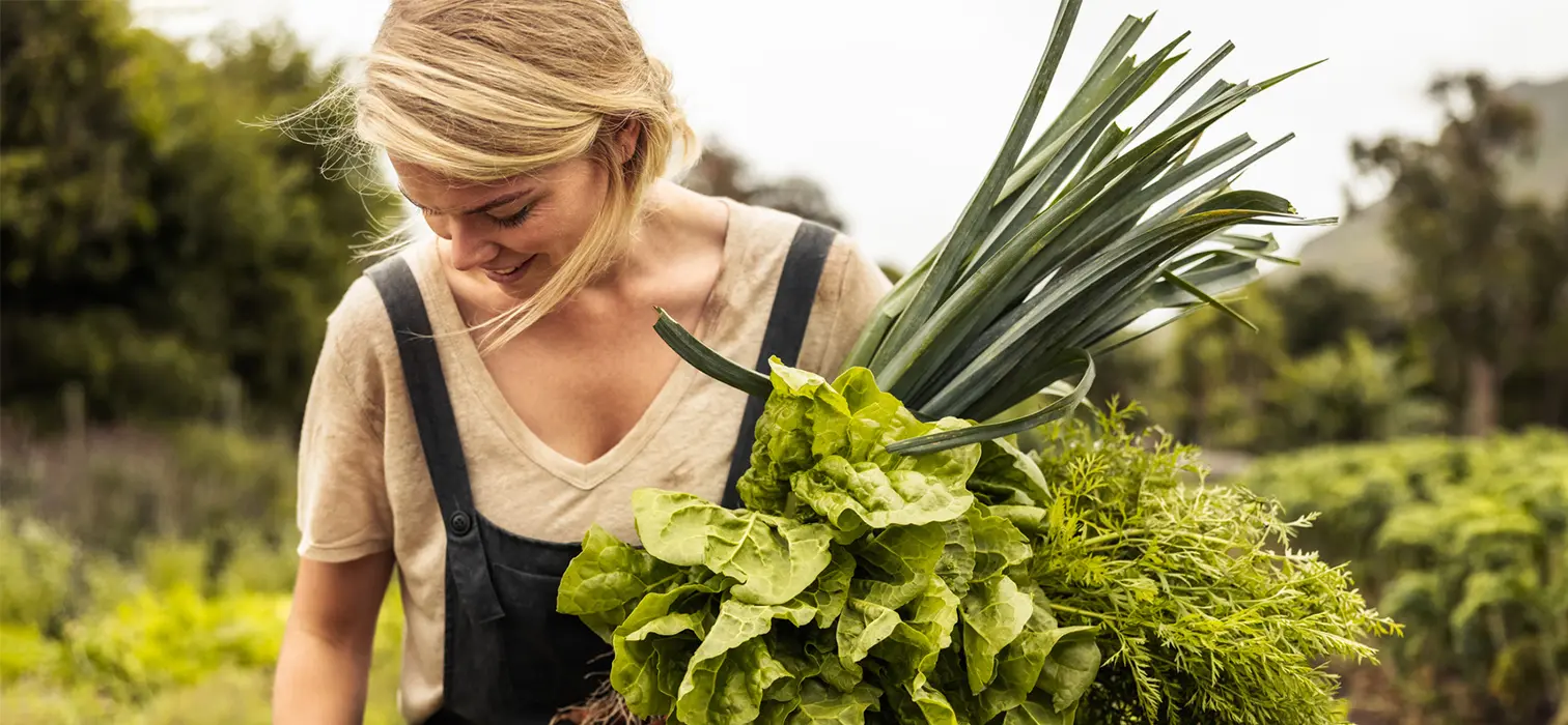 Local and New: Grüngard Smart Irrigation Systems Local and New: Grüngard Smart Irrigation Systems