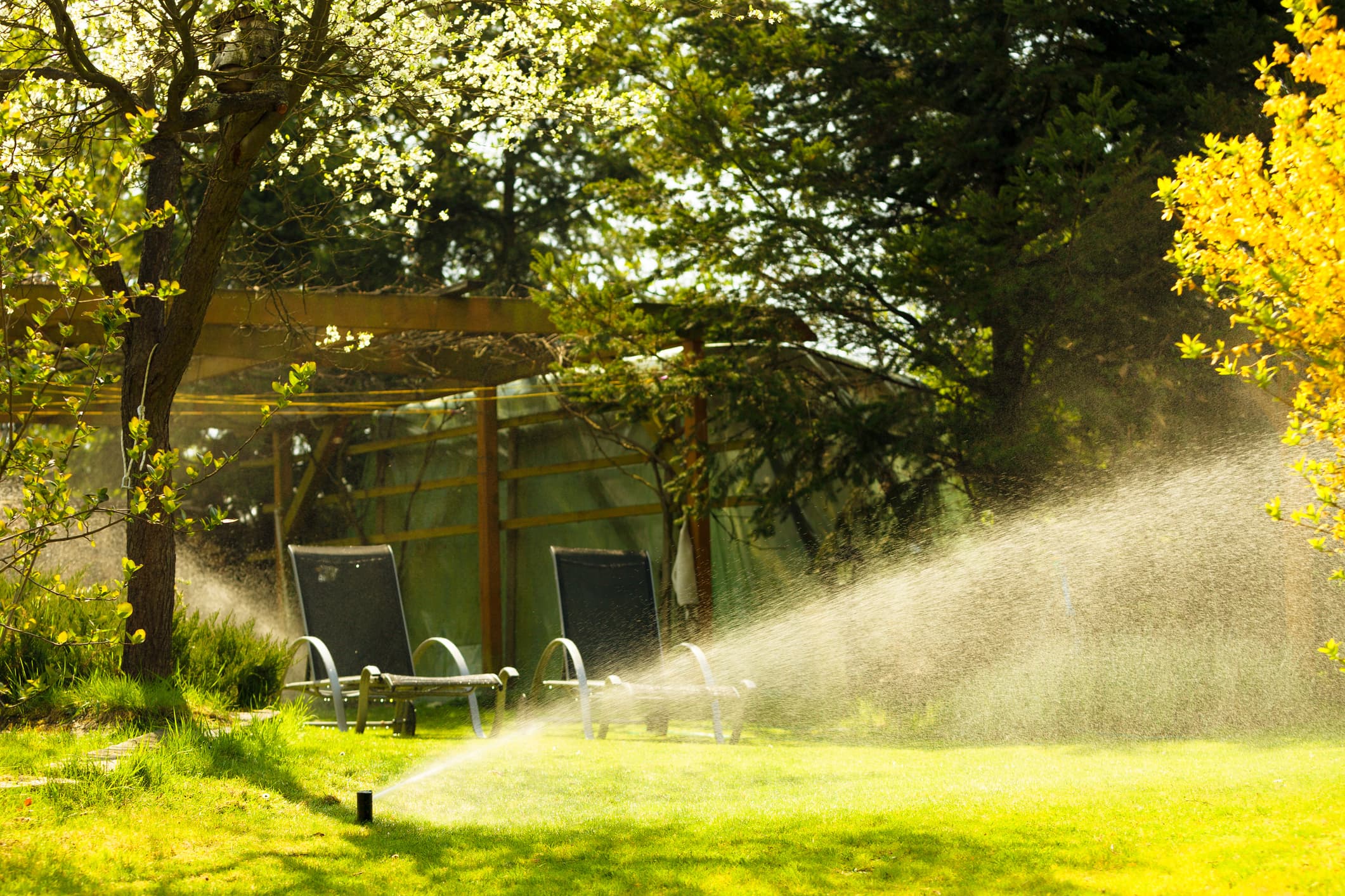 Local and New: Grüngard Smart Irrigation Systems Local And New: Grüngard Smart Irrigation Systems