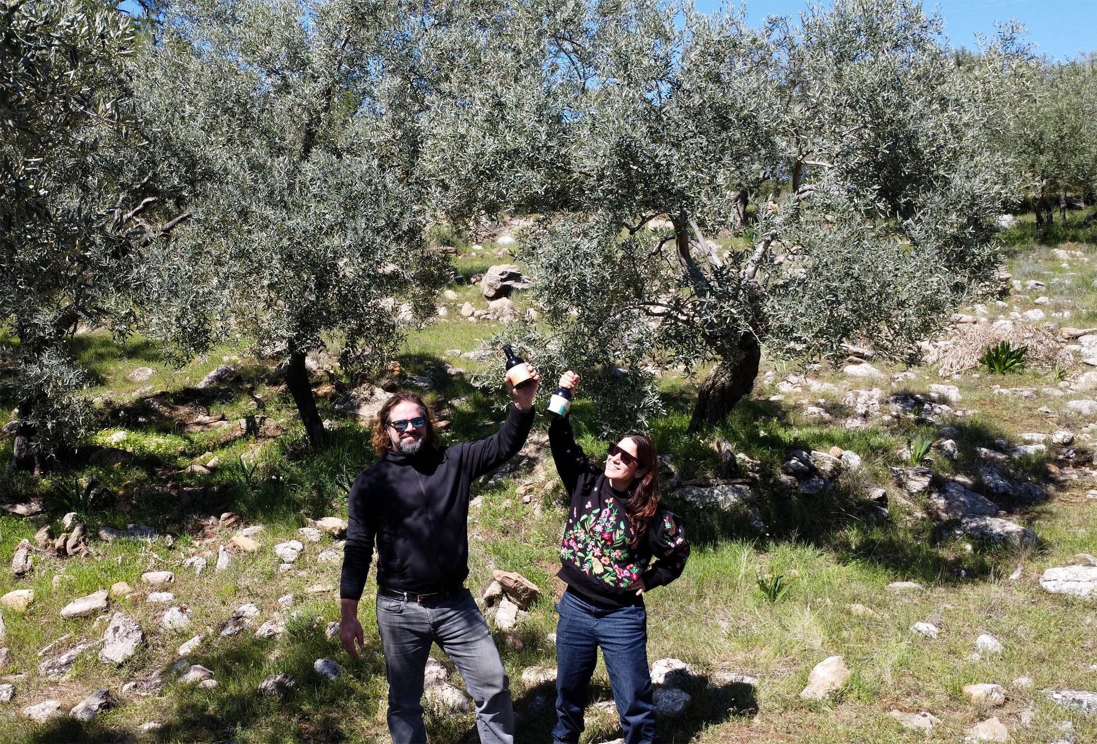 Sonsuz Zeytin Ormanlarının Kalbinde: Funoli Zeytinyağı