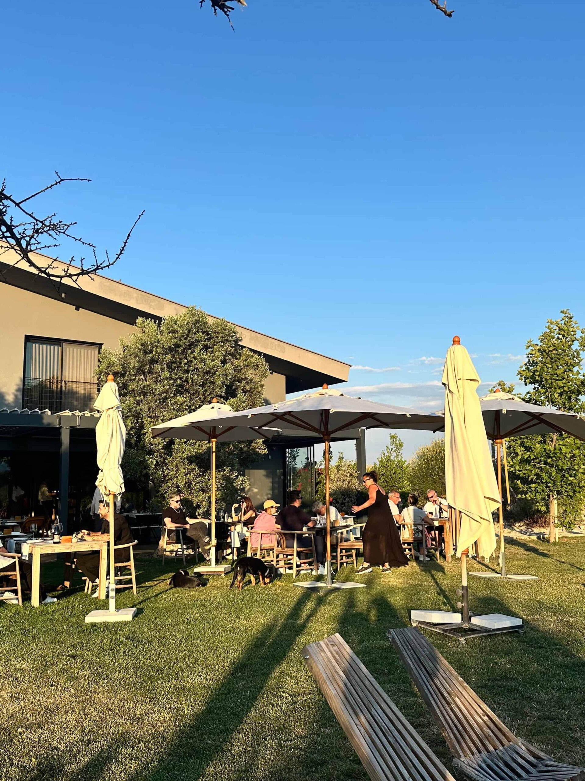 Urla’da Michelin Rüzgârı: Hus Şarapçılık Urla’da Michelin Rüzgârı: Hus Şarapçılık