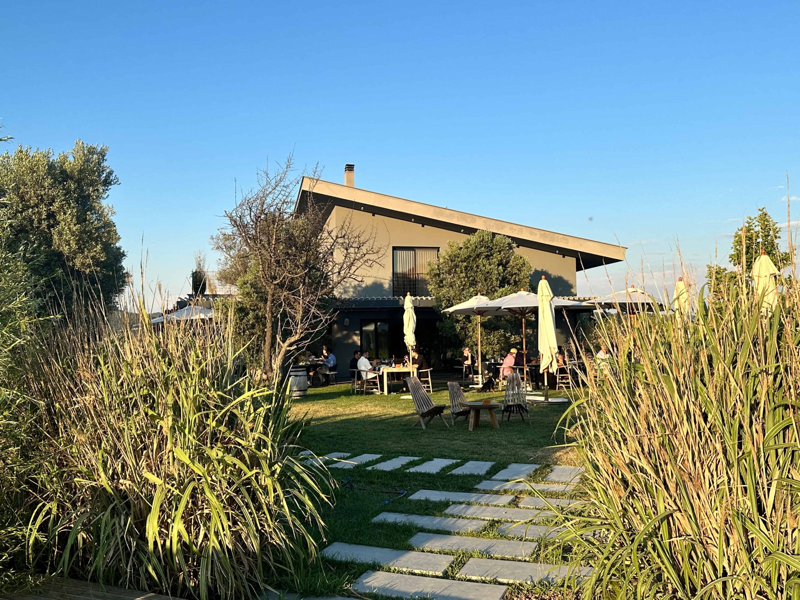 Urla’da Michelin Rüzgârı: Hus Şarapçılık Urla’da Michelin Rüzgârı: Hus Şarapçılık