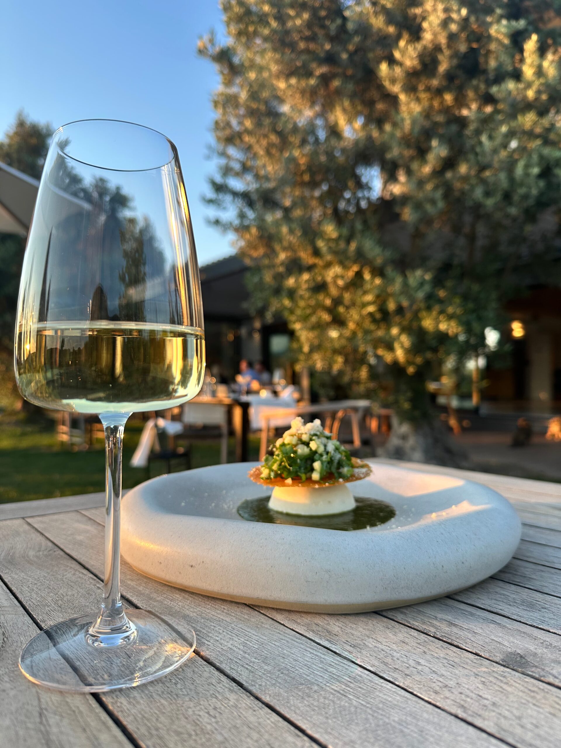 Urla’da Michelin Rüzgârı: Hus Şarapçılık Urla’da Michelin Rüzgârı: Hus Şarapçılık